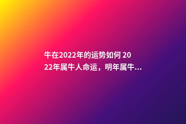 牛在2022年的运势如何 2022年属牛人命运，明年属牛的人的运气怎么样-第1张-观点-玄机派